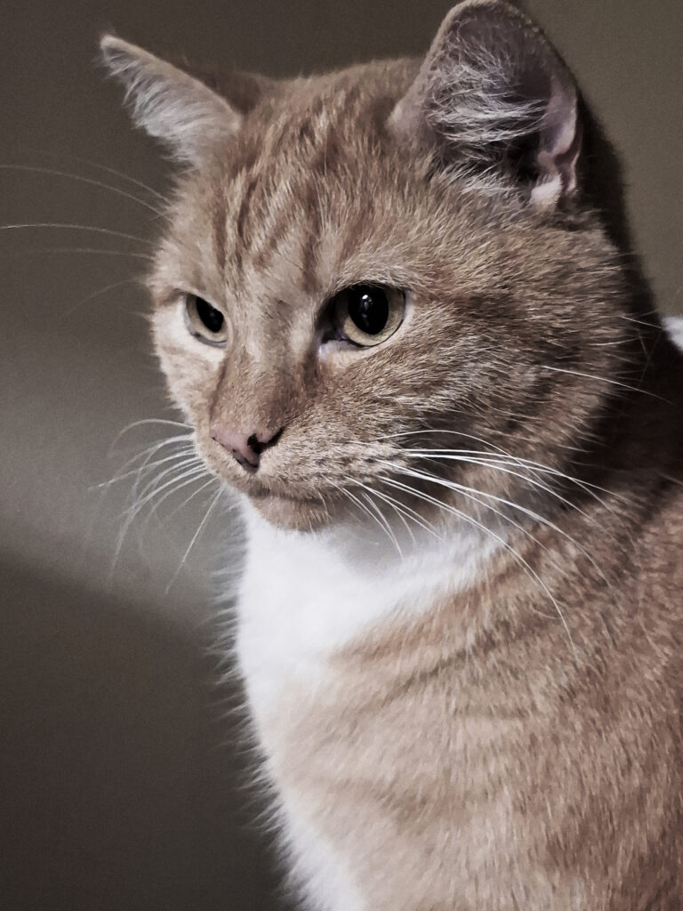 Indoor Fotografie
